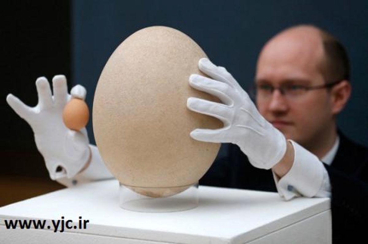 غول پیکرترین حیوانات دنیا + عکس