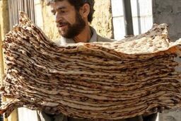 اصلاح قیمت نان فعلاً در دستور کار نیست