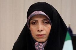 دنبال پیشگیری از تخلفات مالی دولتی با اجرای سیستم بودجه ریزی هستیم