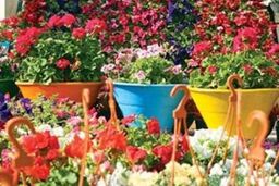 آغاز به کار دوازدهمین نمایشگاه بین المللی گل و گیاه از ۲۹ اردیبهشت