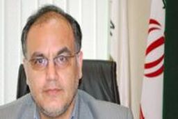 پناهی: منتقدان به خاطر کاراته سکوت کرده اند / رئیس فدراسیون حاشیه سازی می کند