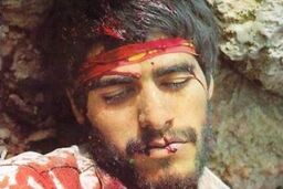 مادر شهید امیر حاج امینی به فرزندش پیوست