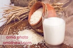 راه و روش کاهش وزن اصولی