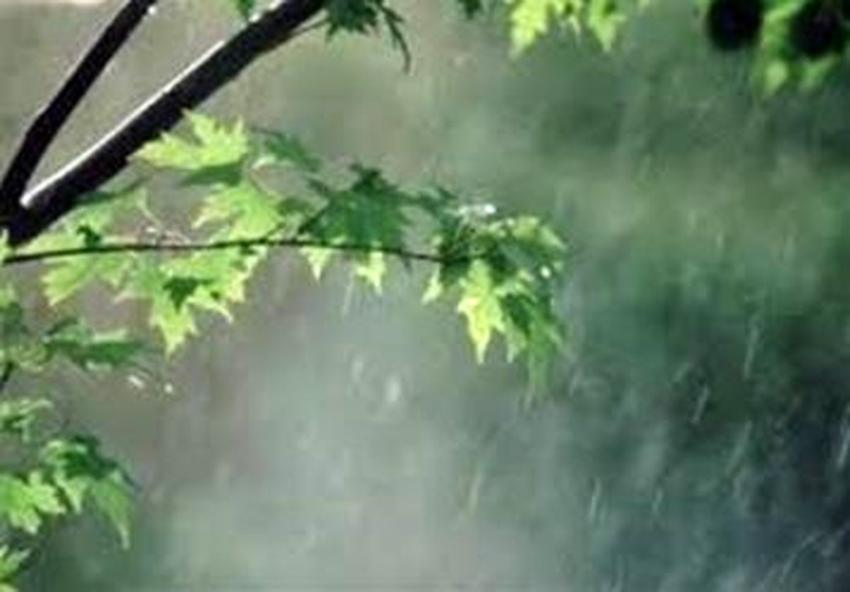 تهران فردا بارانی می شود