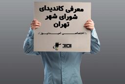 معرفی کاندید شورای شهر تهران / سیدحسن رسولی / مشاور دکتر محمدرضا عارف