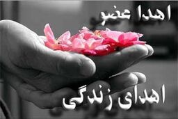 ثبت‌نام بیش از ۱۰۰ نماینده مجلس برای اهدای عضو
