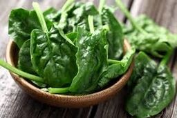 این گیاهان درمانی و مفید
