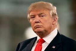 " تجدید پیمان ترامپ و پوتین "