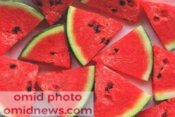 همه آنچه که باید در مورد هندوانه بدانید