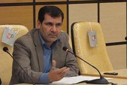 احمدی: بانک ها مدعی اند زورشان به بدهکاران دانه درشت نمی رسد