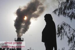 در روزهای آلودگی هوا چه بخوریم