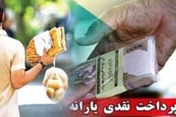 آیین نامه اجرایی انصرف از یارانه نقدی در سال ۹۳ تصویب شد