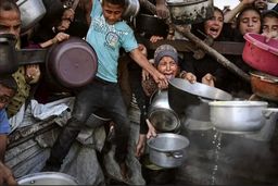 فاجعه انسانی در غزه، نتیجه بی‌توجهی به قوانین بین‌المللی