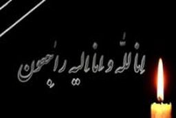 مراسم تشییع پیکر والده اسد الله بادامچیان برگزار شد