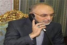 گفتگوی تلفنی صالحی با البرادعی در خصوص تحولات مصر