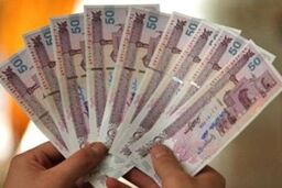 پرداخت نقدی یارانه متوقف شود