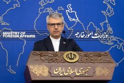  بقائی: هر نوع اختلاف در منطقه فرصتی برای سوءاستفاده قدرت‌ها ایجاد می‌کند 