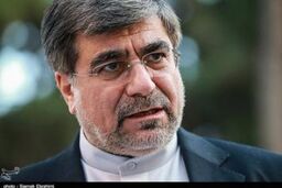 وزیر ارشاد: دفن خوانندگان گروه " سگ زرد " جنبه عاطفی داشت