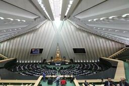 نهادهای عمومی غیردولتی حداکثر ۴۰ درصد حق مالکیت سهم بازار هر کالا را دارند