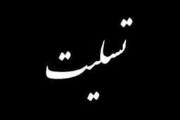 وزیران اطلاعات و کشور درگذشت عضو شورای نگهبان را تسلیت گفتند