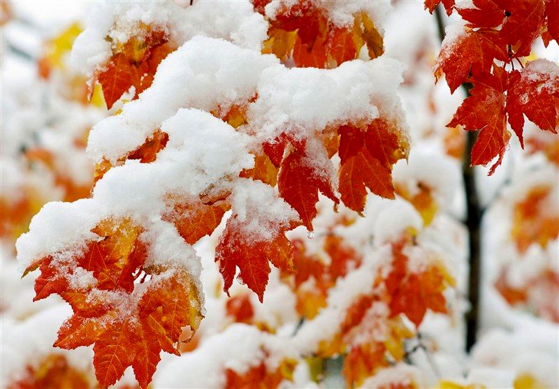 هواشناسی؛ بارش باران و برف در 19 استان طی امروز