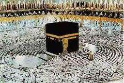 سهیمه " عمره مفرده " افزایش یافت