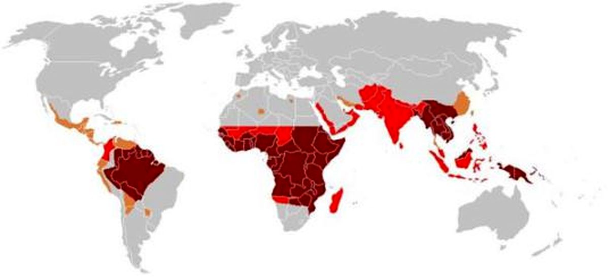 این بیماری همچنان در ایران قربانی می گیرد