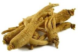 جین سینگ ضد سرطان و افزاینده قدرت سیستم ایمنی بدن است