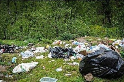 معضل زباله در شمال کشور؛ جنگل‌هایی که زیر کوه‌های پسماند دفن می‌شوند