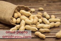 بادام زمینی، از خواص تا معایب