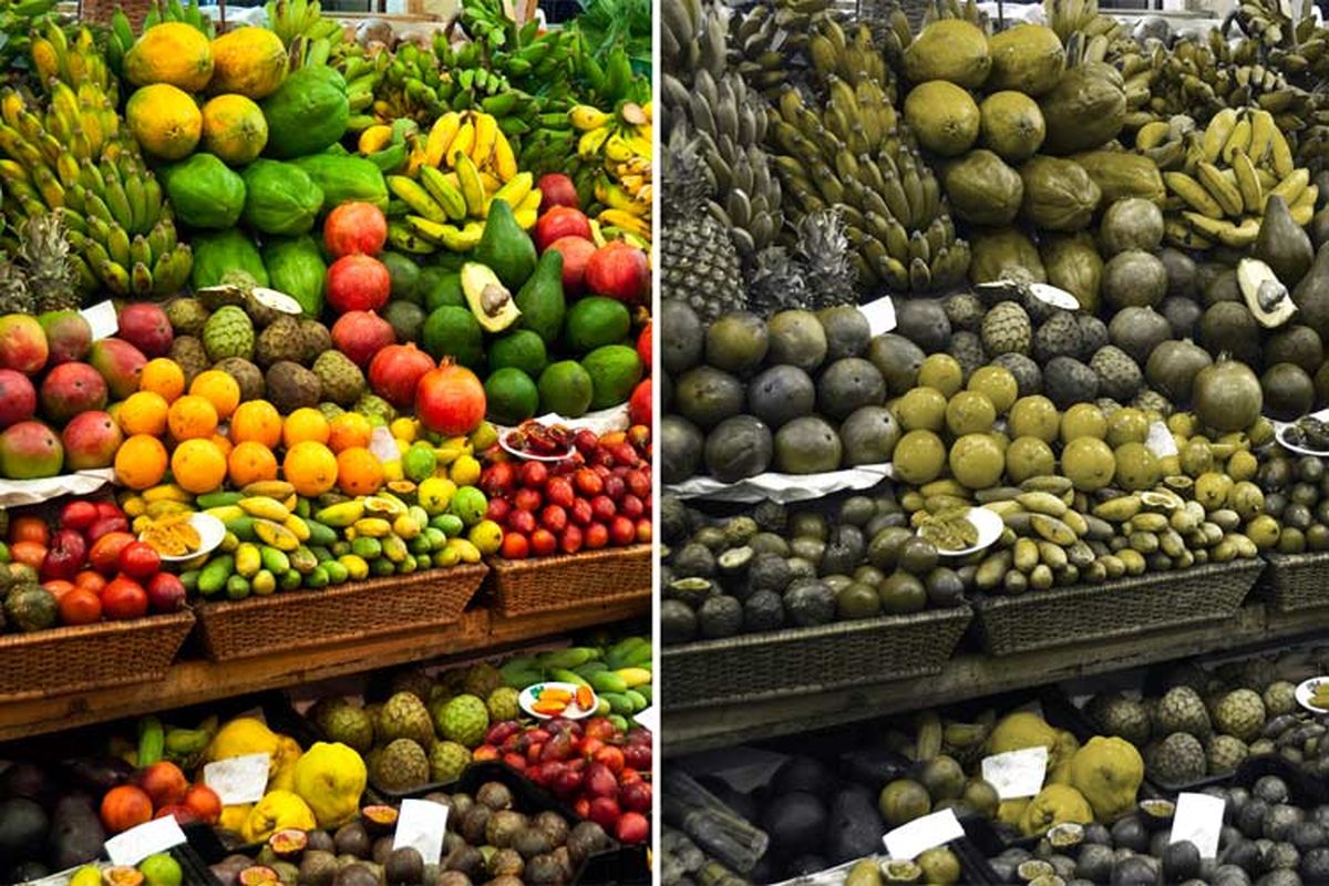افراد کور رنگ چگونه می بینند؟