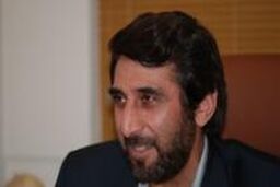 دولت از محبوبیت طلبی در موضوع هدفمندی دست بردارد / دستگاه دیپلماسی درک صحیحی از انقلاب اسلامی ندارد