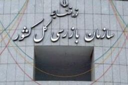 سازمان بازرسی شفاف سازی پرداخت تسهیلات در شبکه بانکی را خواستار شد