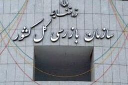سازمان بازرسی شفاف سازی پرداخت تسهیلات در شبکه بانکی را خواستار شد