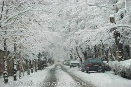 برف به داد تهران رسید