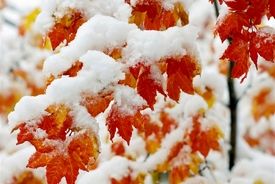 هواشناسی؛ برف و باران در 23 استان/ هشدار نارنجی برای 17 استان