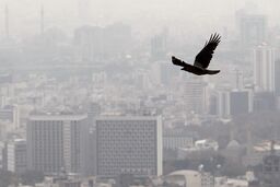 ویروس آلودگی به شهرهای دیگر منتقل شد!