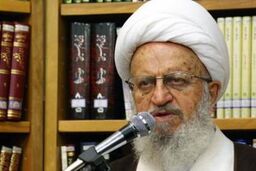 تأکید آیت الله مکارم شیرازی بر اجرای سیاست افزایش جمعیت
