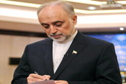 وزیر خارجه وارد حراره شد