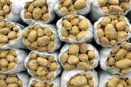 قیمت منطقی سیب زمینی کمتر از ۵۰۰ تومان است