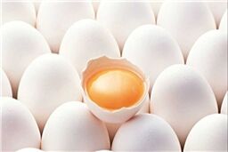 درج قیمت روی تخم‌مرغ
