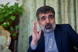 آیا در ایران دفتر آژانس تاسیس می شود؟