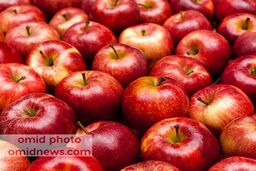 خواص شگفت انگیز سیب