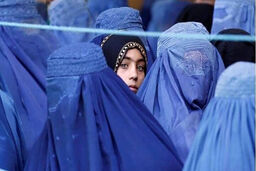 یک بام و دو هوای طالبان