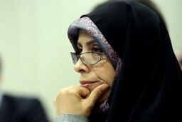 نحوه اجرای منشور حقوق شهروندی منوط به نظر رئیس جمهور است