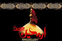 آیا امام حسین(ع) را شیعیان به شهادت رساندند؟