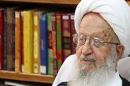نظر آیت الله مکارم شیرازی پیرامون درآمد زنان برای خانواده ها