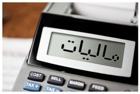  کسب مالیات از دانه درشت ها درآمد بیشتری برای کشور به همراه دارد 