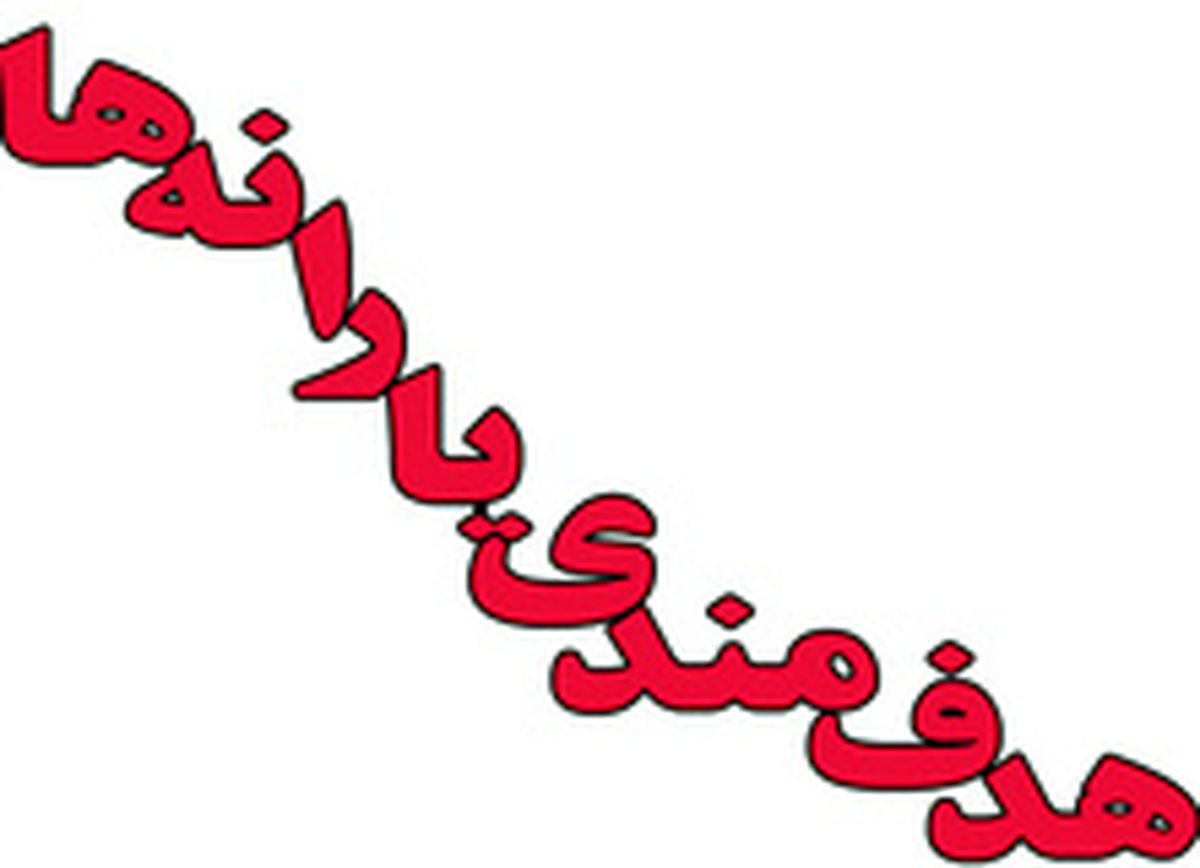 مجلس پیگیر اجرای هدفمندی در سال ۹۲ خواهد بود