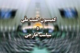 کلیات طرح تقویت و توسعه سازمان بسیج رسانه در کمیسیون امنیت ملی تصویب شد